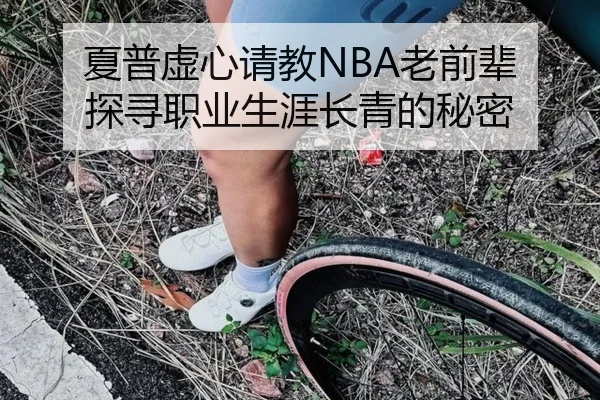 夏普虚心请教NBA老前辈 探寻职业生涯长青的秘密